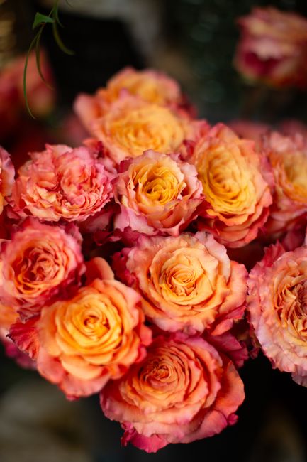 A lush bouquet of pink and peach roses with ruffled petals, arranged in a dense cluster. The flowers are fresh, with velvety petals and sturdy green stems, set against a dark blurred background that h